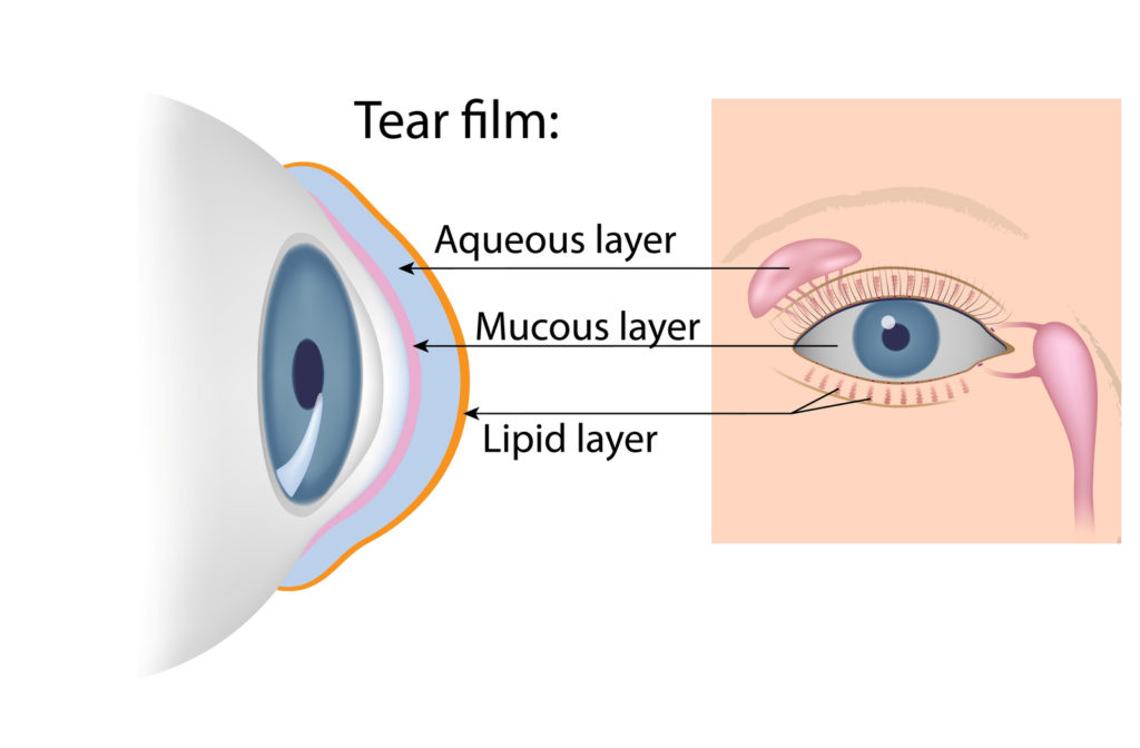 tear film diagram of eye